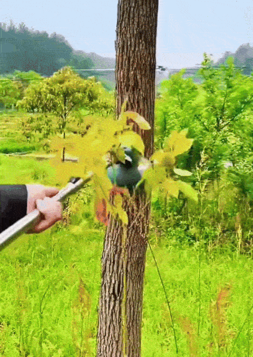Cap Motocoasă Universal Rezistent
