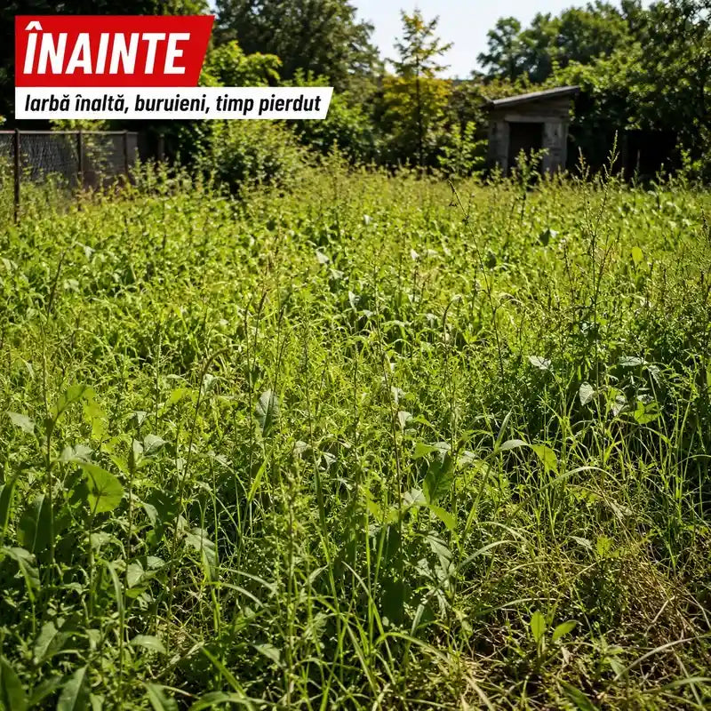Înainte